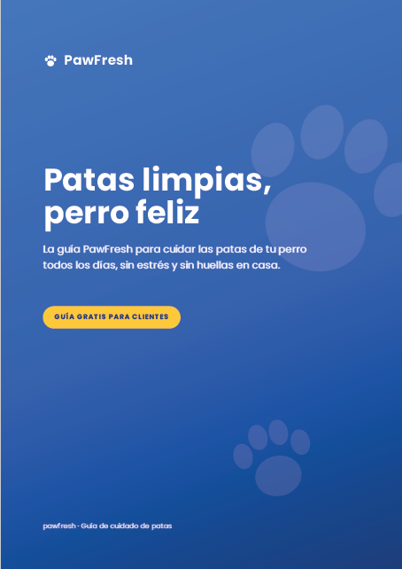Patas limpias, perro feliz